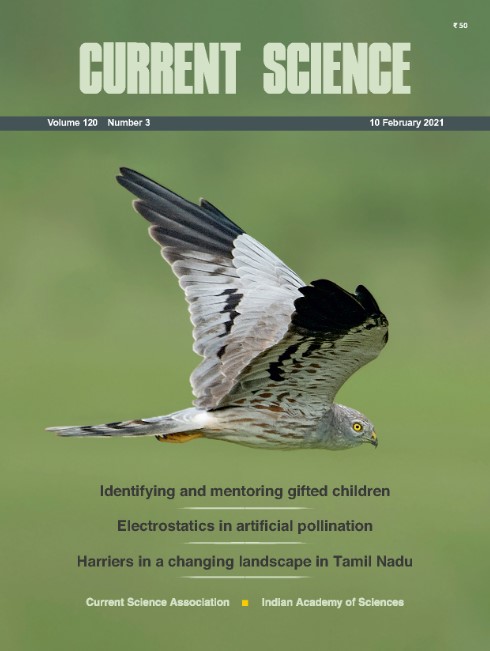 Syncing phenology phase and canopy spectral reflectance of common tree species of four forest covers in India